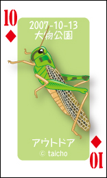card2007-10-13.jpg